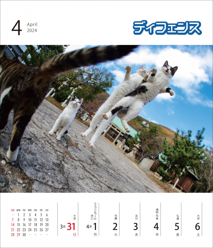 【12月8日締切】辰巳出版から「猫カレンダー毎週にゃっ！2024」を3人に＜WEB限定＞