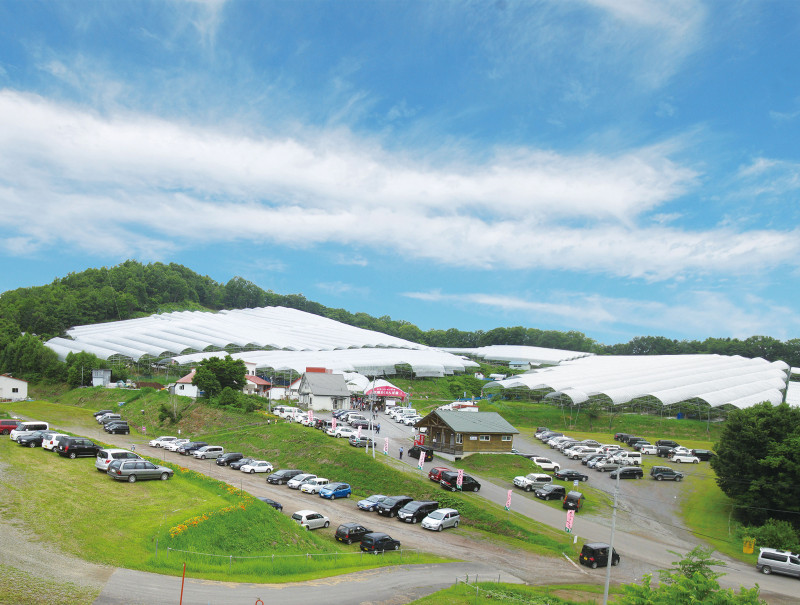 【6月30日締切】芦別市の加盟店「大橋さくらんぼ園」からペア入園券を５組に