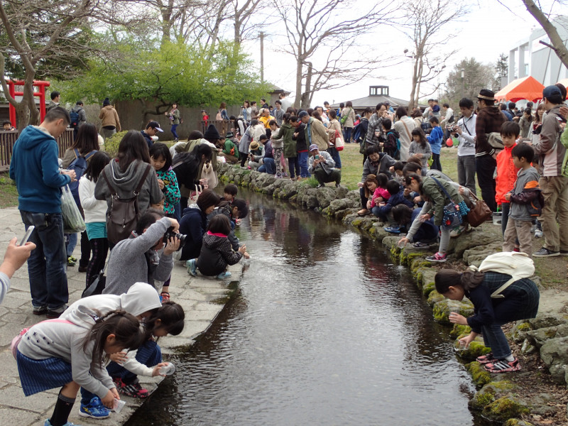 【4月10日締切】　千歳市の加盟店「サケのふるさと千歳水族館」からペア入館券を５組に