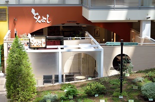 とんよし サッポロファクトリー店 道新ぶんぶんクラブ加盟店なび 道新ぶんぶんクラブ 北海道新聞社